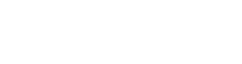 logo-flavio-muniz-branco